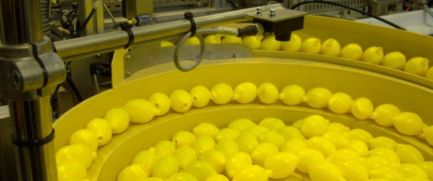 RNA's bespoke vibratory bowl feeders are handling JIF lemons.
