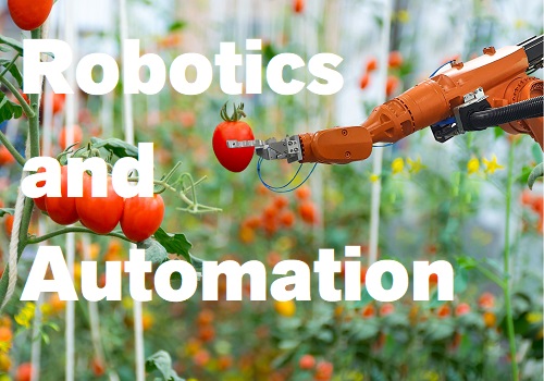 How are robotics and automation changing the food industry?