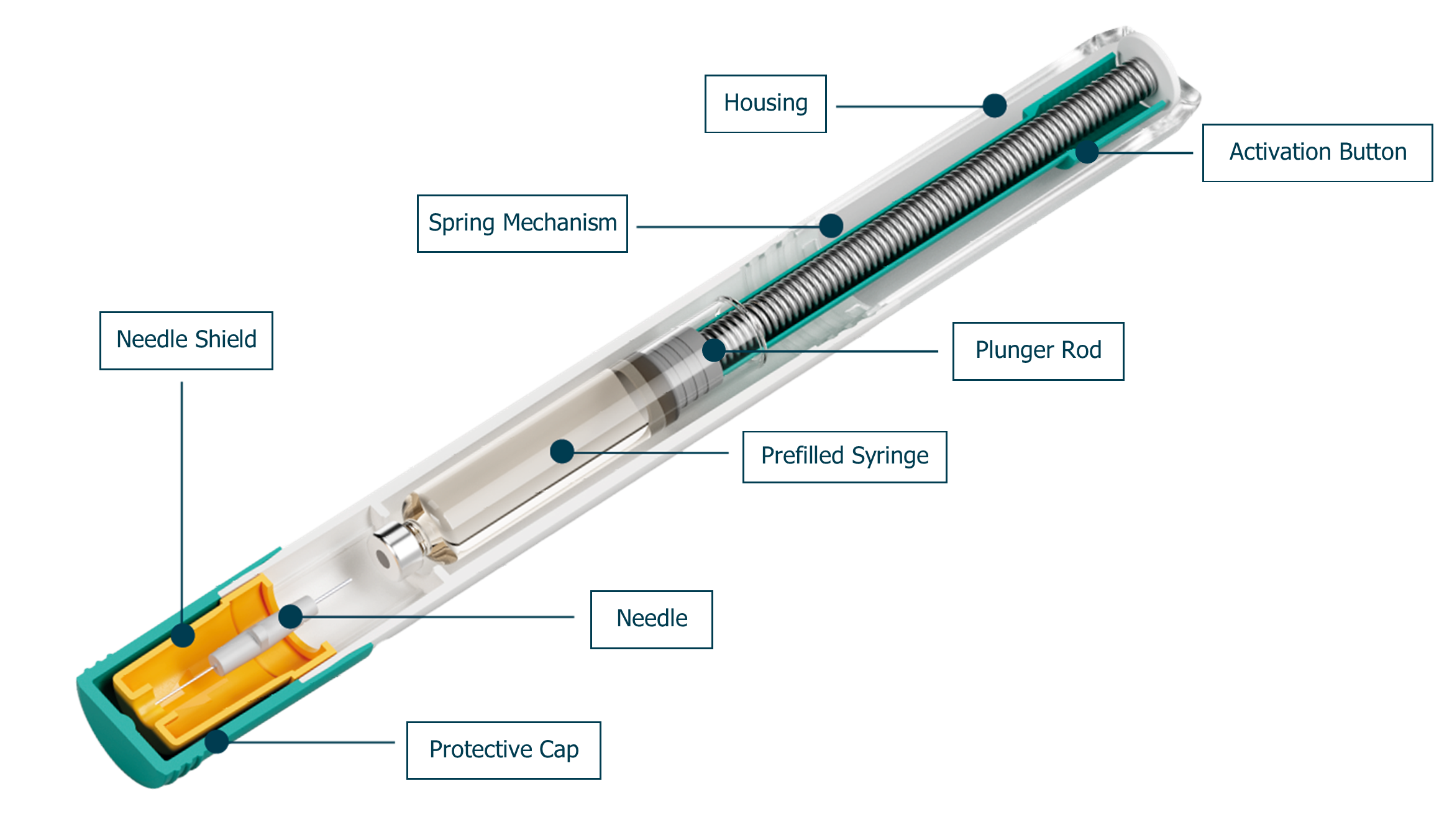 Autoinjector Components