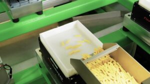 FlexCube Flexible Feeder